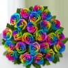 24 RAINBOW ROSES BOUQUET 