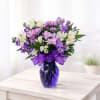 A fresh and feminine mix of soft lavender daisies, creamy white alstroemeria