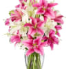Premium Oriental Pink and White Lilies.