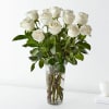 White roses are elegant, luminous, and beautifully accent any room. With a