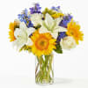 This celestial blend of white, yellow, and blue flowers evokes the beauty