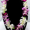 Orchid &amp; Carnation Lei
