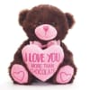 This adorable plush bear is ready to deliver a heartfelt message: "I