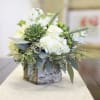 A modern mix of hydrangea, succulents, hypericum berries, and stock, artfully arranged