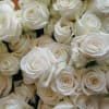 One dozen long stem white roses wrapped. This arrangement does not include