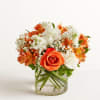 The sweet citrus shades in our charming bouquet bring your sentiments to