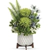 Gorgeous green blooms and a mod, mid-century ceramic planter add up to