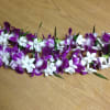 Our beautiful leis are great for graduations, birthdays, or any celebration!