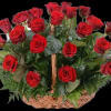 Beautiful and large basket, with red roses and foliage and a beautiful