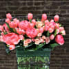 A grand display of lush coral pink peonies, accented with gorgeous pink