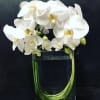 Phalaenopsis orchids, steel grass.

*We use the freshest flowers available, substitutions may be