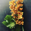Full of Devotion, Orange Cymbidium Orchids, Mini Cymbidiums, Orange Pin Cushion Protea