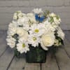 All white roses, daisies, and stock gathered together in this cube arrangement