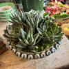 The Desert Jewel arrangement is the perfect table centerpiece for adding a