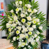 Foliage includes: Rose, Snapdragon, Tulip, Dendrobium Orchid, Chrysanthemum and Baby Blue Eucalyptus.