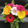 12 mix color large gerbera daisies arranged in a vase . 
Perfect