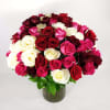 100 Fresh Cut Premium Long Stand Red Roses, Long Stand Pink Roses