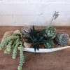 A variety of succulents potted in a beautiful white ceramic pot. 