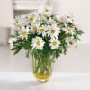 A sparkling glass vase overflowing with sun-kissed daisies is a sure-fire way