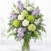 The Serene Lavender is an elegant vase arrangement features soft lavender stock