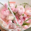 Only pink fresh premium ranunculus, tulips flowers arrangement hand bouquet.