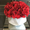 A beautiful bed of 3 dozen red roses in geometric concrete pot