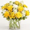 About Yellow &amp; White Delight Bouquet
Full of sunny cheer, our brightly colored