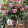 One dozen highly fragrant, purple Moody Blues Roses, beautifully arranged in a
