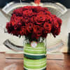 Red beautiful roses will make anyone happy and loved.