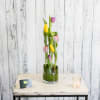 Fresh seasonal tulips in a glass cylinder vase make for a modern