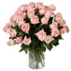 Our classic 4 dozen soft pink roses are designed with long-stem 70