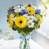 Celebrate a new baby boy with a precious hand-designed arrangement. Our happy