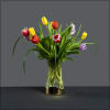 A dozen premium tulips in a gold banded vase.
Nothing says spring like