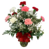 Say I Love you and your special with this beautiful dozen carnations!
