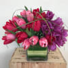 30  mixed colors Tulips in glass 5&rdquo; container 