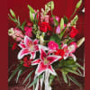 A Elegant Arrangment perfect for #mom ୨ৎ
of Stargazer lilies,
Hot Pink Roses and