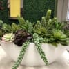 A planting of easy care seasonal succulents planted in a ceramic vessel