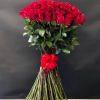 A sleek, modern bouquet of 25 fresh cut crimson red roses with