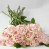 This wrapped bouquet will feature our pale pink roses, greenery and baby's