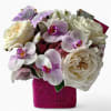 Lovely roses orchids and more arranged in a modern glass cube vase