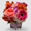 Send a beauty of a bouquet today to make their day. Roses