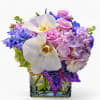 Designer's choice lavender and vanilla blossoms of the day roses orchids hydrangeas