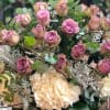 Roses and Eucalyptus mixed is seasonal greens. 