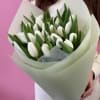 The photo shows the standard size.
Standard 25 tulips.
Deluxe 50 tulips.
Premium 75 tulips.
