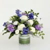 A low leaf-lined cylinder filled with roses, Stock, Lisianthus and Delphinium -
