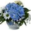 Blue hydrangea, white roses, white daisys in a white ceramic 