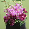 An exotic, tropical beautiful design. Dendrobium Orchids on a bed of greens