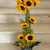 Sunflowers Topiary with 10 Sunflowers nicely arranged. Deluxe has 15 Sunflowers. Premium