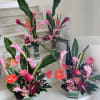 4 Tropical arrangements designed for an event as pictured.