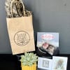 

Succulent in a ceramic pot, $10 Fabled Bookshop &amp; Caf&eacute; gift card